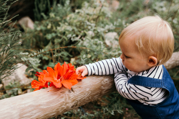 Girl watching the flowers by Ewa Jones Photography | Basingstoke Photography