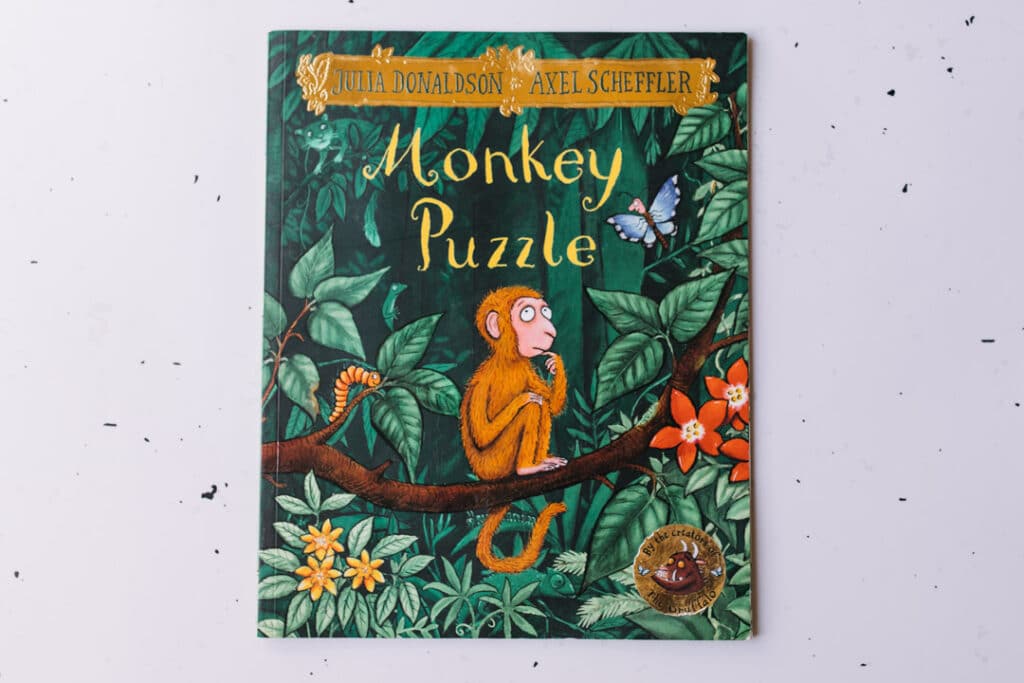 Monkey Puzzle Book. 30 books to read for 0-5 year old - Part 1. Ewa Jones Photography