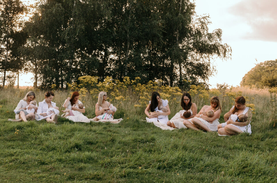 mums are sitting on the blanket and breastfeeding their babies. There is a gorgeous field full of wild flowers and the sun is shining through the trees. Group breastfeeding photo session in Basingstoke, Hampshire. Ewa Jones Photography