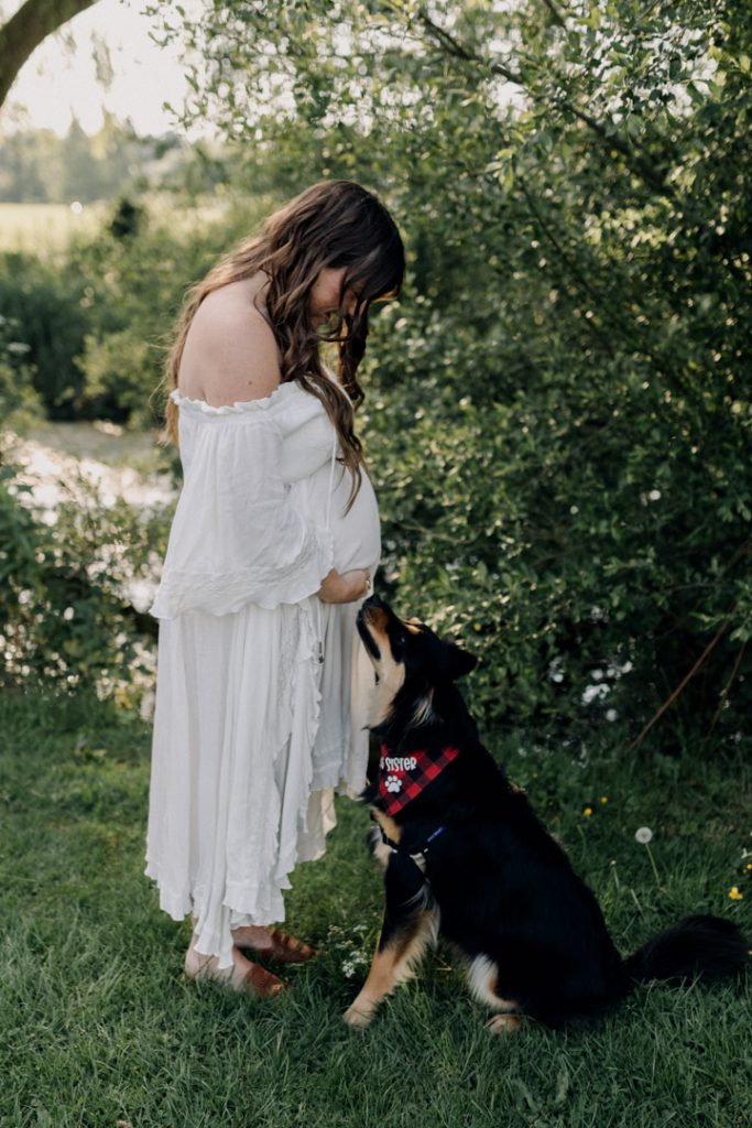 mum is standing in the field and looking down at baby bump and her dog. Dog is looking up at baby bump. Maternity session with a pet. Hampshire based photo shoot. Bump to baby photo session. Ewa Jones Photographer