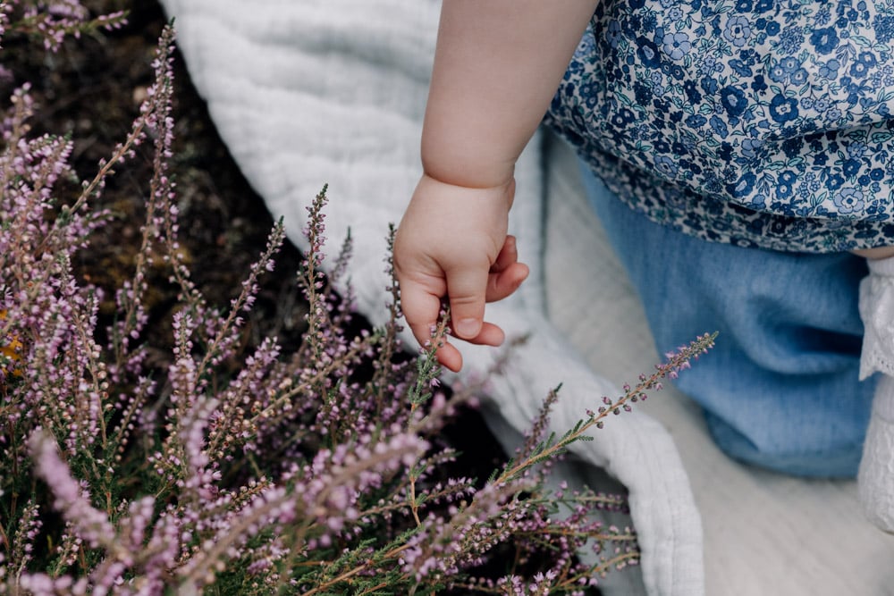 close up detail of little girl touching lavender flowers. Intimate and natural moment during family photo session. Family session celebrating one year old baby. Hampshire photographer. Ewa Jones photography