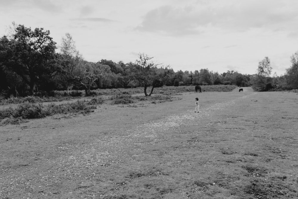 Little boy is walking in the field with horses. natural family photo session. Hampshire photographer. Ewa Jones Photography