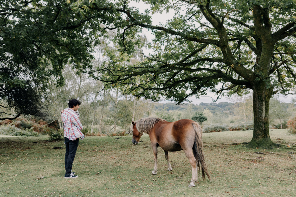 dad is holding his son and walking towards wild horses in the New Forest. Hampshire family photo shoot. Family photographer. Ewa Jones Photography